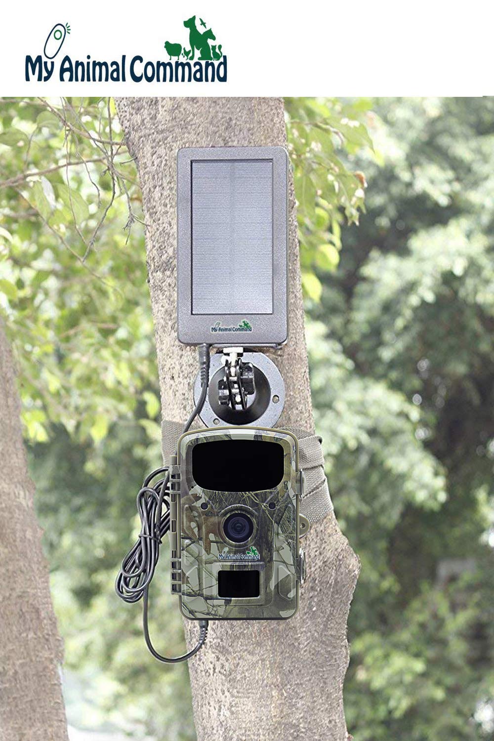 My Animal Command Solar Trail Camera 16MP Game Time Lapse Cam with Night Vision Motion Activated, IP66 Waterproof 1080p Spy Outdoor Deer & Wildlife Hunting. (16MP Camera and Solar Power Pack Bundle)