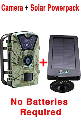 My Animal Command Solar Trail Camera 12MP Game Time Lapse Cam with Night Vision Motion Activated, IP66 Waterproof 1080p Spy Outdoor Deer & Wildlife Hunting. (12MP Camera and Solar Power Pack Bundle)