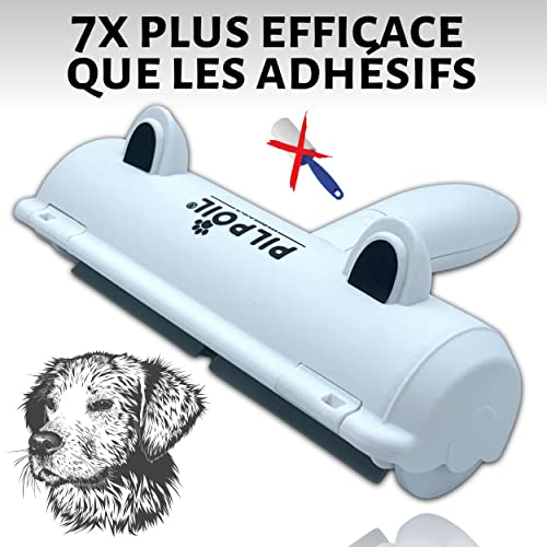 Brosse Anti Poils Animaux + Rasoir Anti Bouloche pour Vêtements en Bois, Le Rouleau élimine et nettoie Les Poils de Chiens et Chats sur Tapis, Canapé et Les Peluches des Vêtement, Pack X2 - Pilpoil