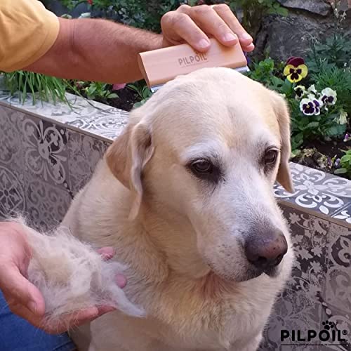 pilpoil Nouveau: Brosse Taille M 10cm Brosse étrille Anti-Poils Chien/Chat/Cheval/Lapin Anti-mue, élimine 95% sous Poil Peigne Magique Anti-Poils - Outil toilettage Pro