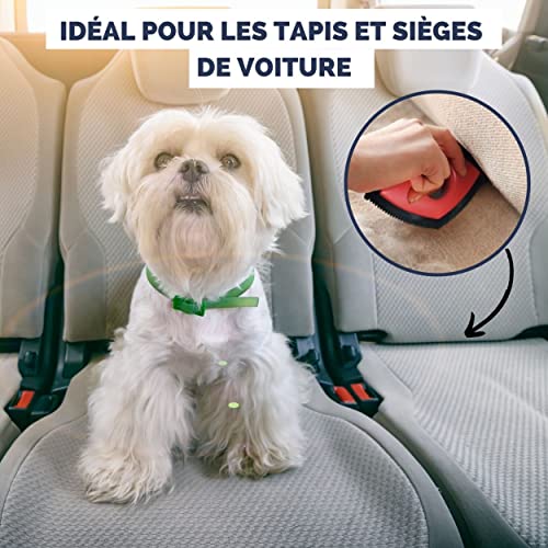 Brosse Anti Poils Chien Chat | Nettoyeur De Tapis | Enlève Poil Et Bouloche des Tapis, Vêtements, Canapé, Voiture Difficile D'accès. Rasoir Anti Bouloches Ramasse raclette Lint Remover Réutilisable