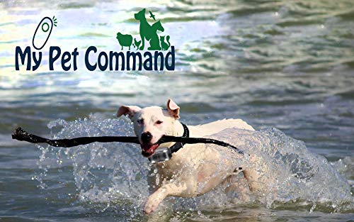 My Pet Command 1.25 Mile (6600 Ft) Dog Training Collar Safe Dog Shock Collar with Remote Shock, Vibrate, Tone and Flashing Beacon Lights Waterproof Rechargeable Dog Hunting add Up to 3 Collars