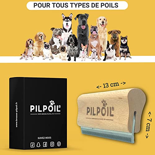 pilpoil Brosse Anti Poils Chien/Cheval sous Poils Court Et Long Peigne Outil De Toilettage Professionnel en Bois Animaux De Compagnie | Etrille Magique Anti Mue Retire Boule de Poils Taille: 13 cm
