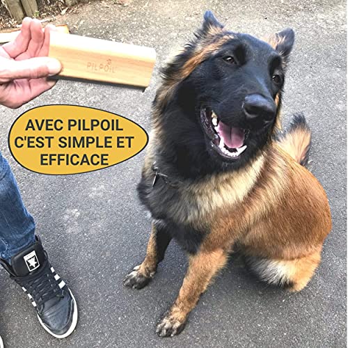 pilpoil Nouveau: Brosse Taille M 10cm Brosse étrille Anti-Poils Chien/Chat/Cheval/Lapin Anti-mue, élimine 95% sous Poil Peigne Magique Anti-Poils - Outil toilettage Pro