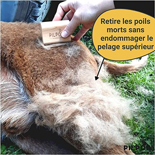 pilpoil Nouveau: Brosse Taille M 10cm Brosse étrille Anti-Poils Chien/Chat/Cheval/Lapin Anti-mue, élimine 95% sous Poil Peigne Magique Anti-Poils - Outil toilettage Pro