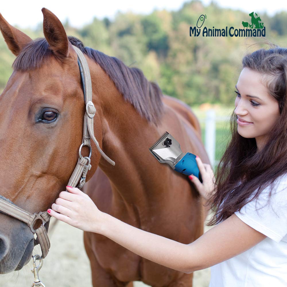 My Animal Command 110V Horse Clippers Professional Heavy Duty Kit, Professional Animal Grooming Clippers 2 Speeds Shaving Thick Coats Fur Horse Hair Ponies Equine Pigs Cattle Farm Livestock 2 Blades