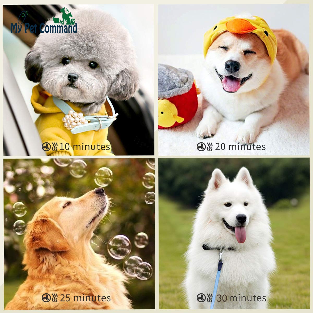 My Pet Command 110V Dog Hair Dryer Professional High Velocity Blower 500W-2800W 4HP Hot and Cold Adjustable stepless Airflow and Bonus Dog Grooming Brush.