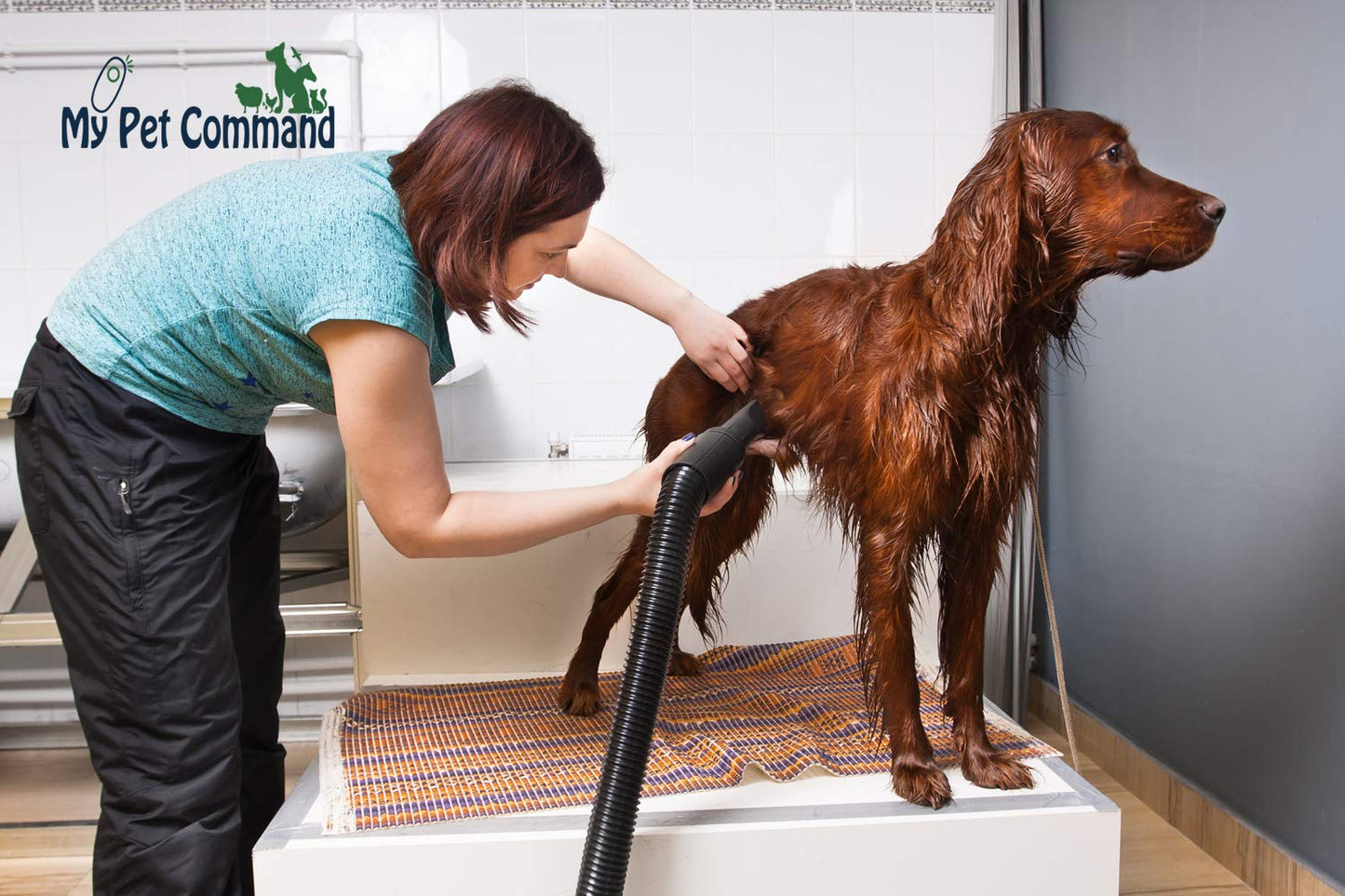 My Pet Command 110V Dog Hair Dryer Professional High Velocity Blower 500W-2800W 4HP Hot and Cold Adjustable stepless Airflow and Bonus Dog Grooming Brush.
